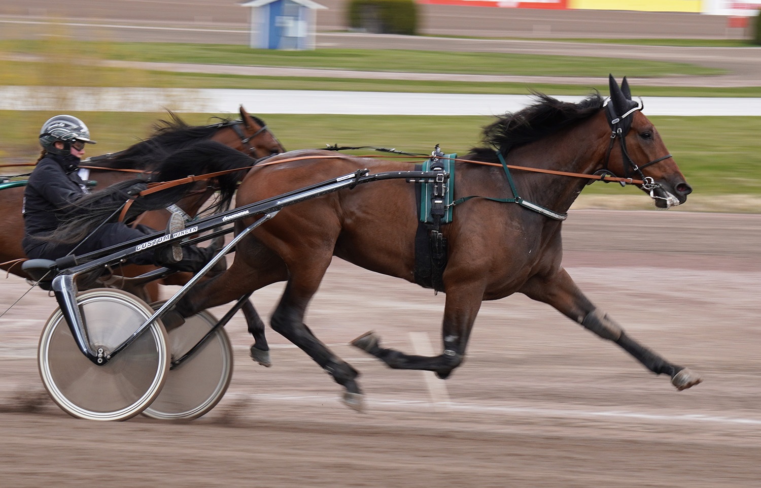 Hell of a Guy 260416-1